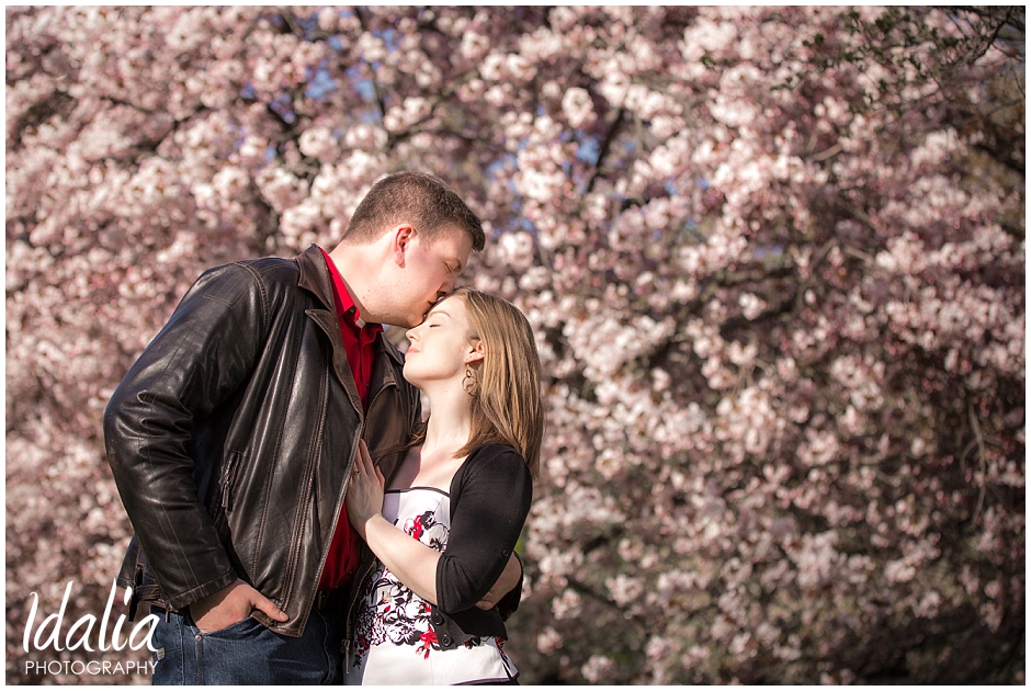 cherry blossom engagement