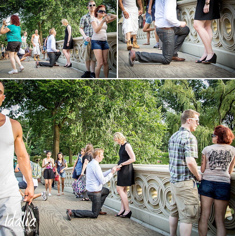 Central Park Proposal Photo 