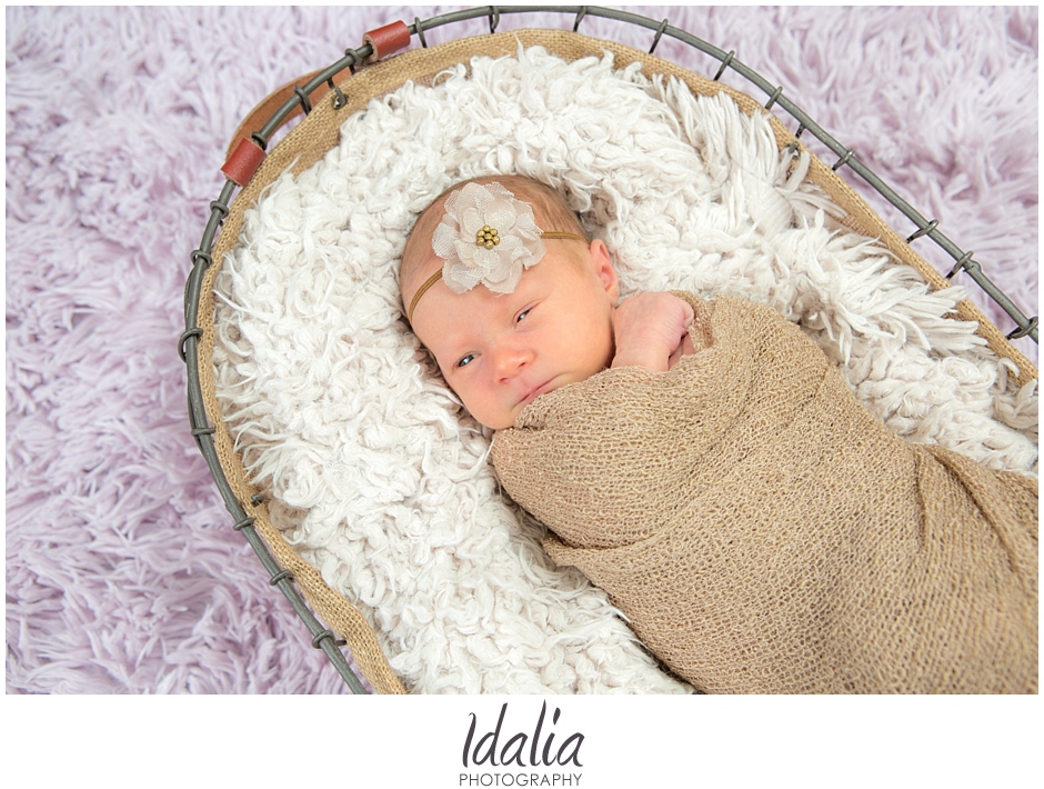 nj-newborn-photographer_0005