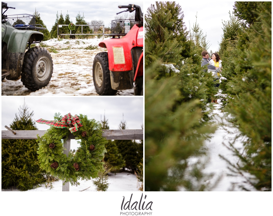 tree_farm_engagement_0001