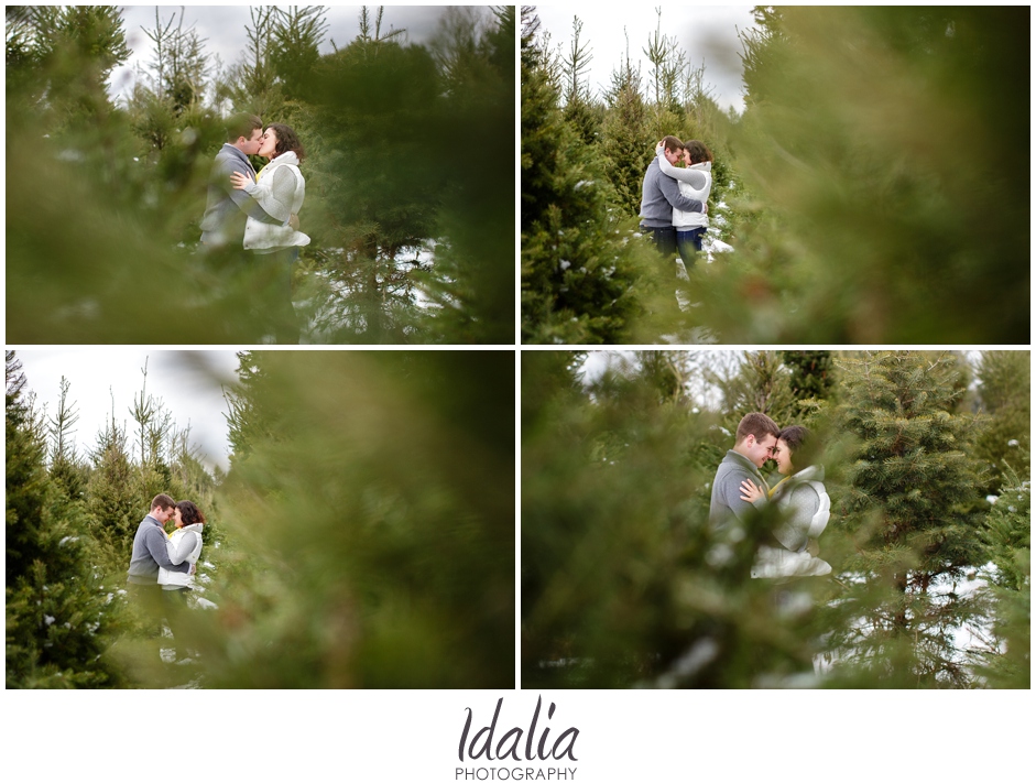 tree_farm_engagement_0003