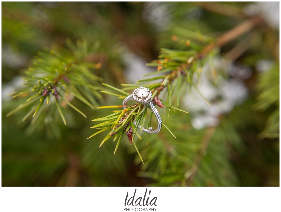 tree_farm_engagement_0004