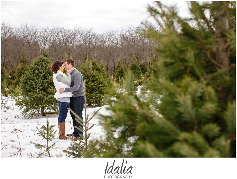 tree_farm_engagement_0007