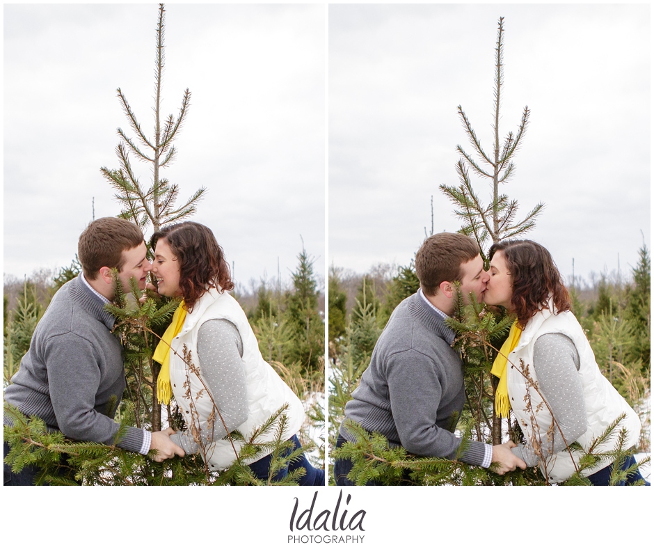 tree_farm_engagement_0024