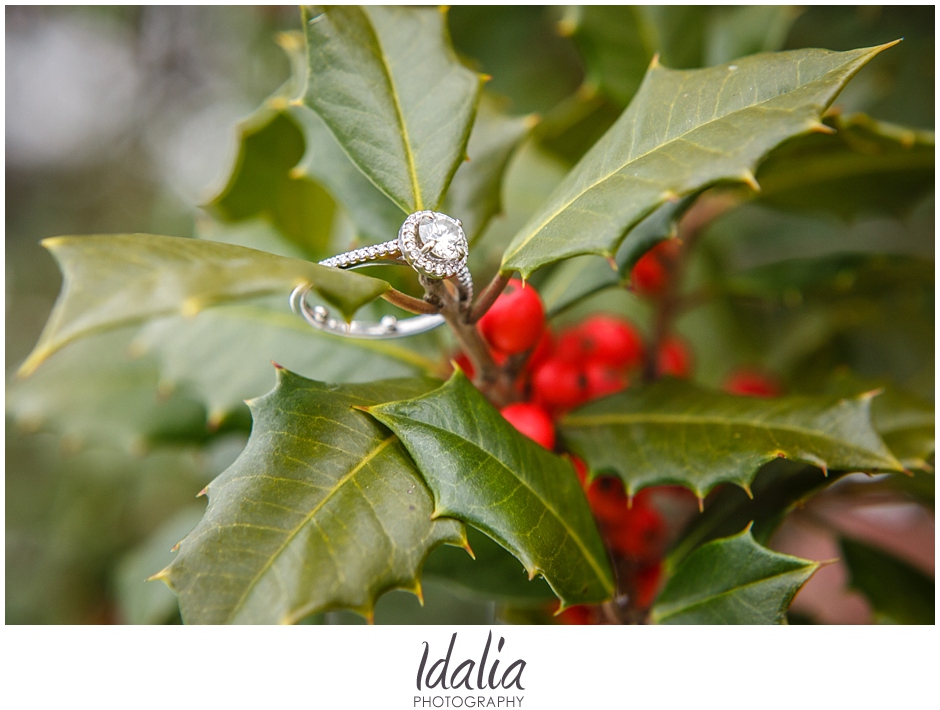 tree_farm_engagement_0029