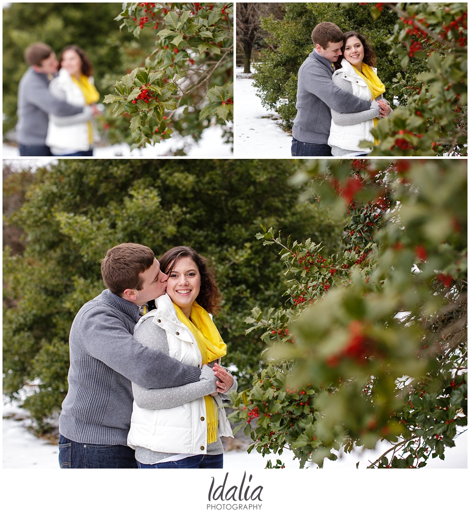 tree_farm_engagement_0030