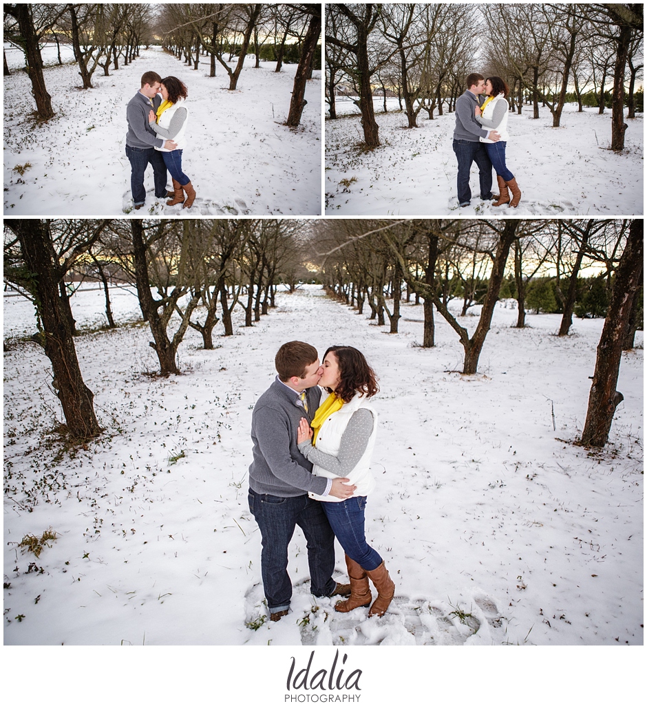 tree_farm_engagement_0035