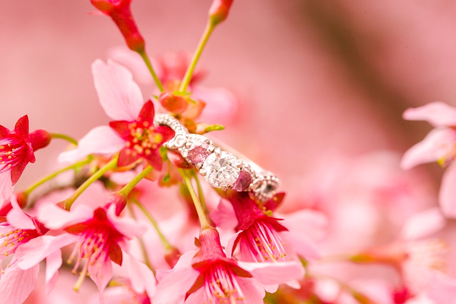 branch-brook-park-engagement_0009