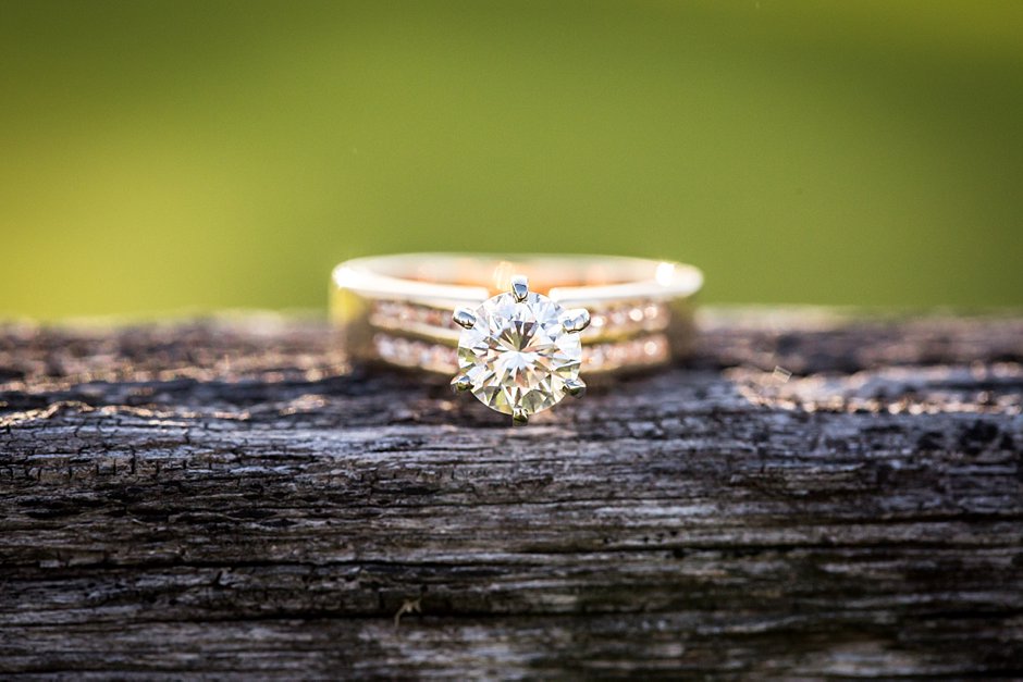 farm-engagement-session_0029