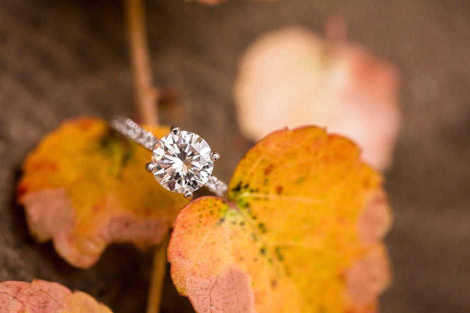 nj-fall-engagement-photos_0038