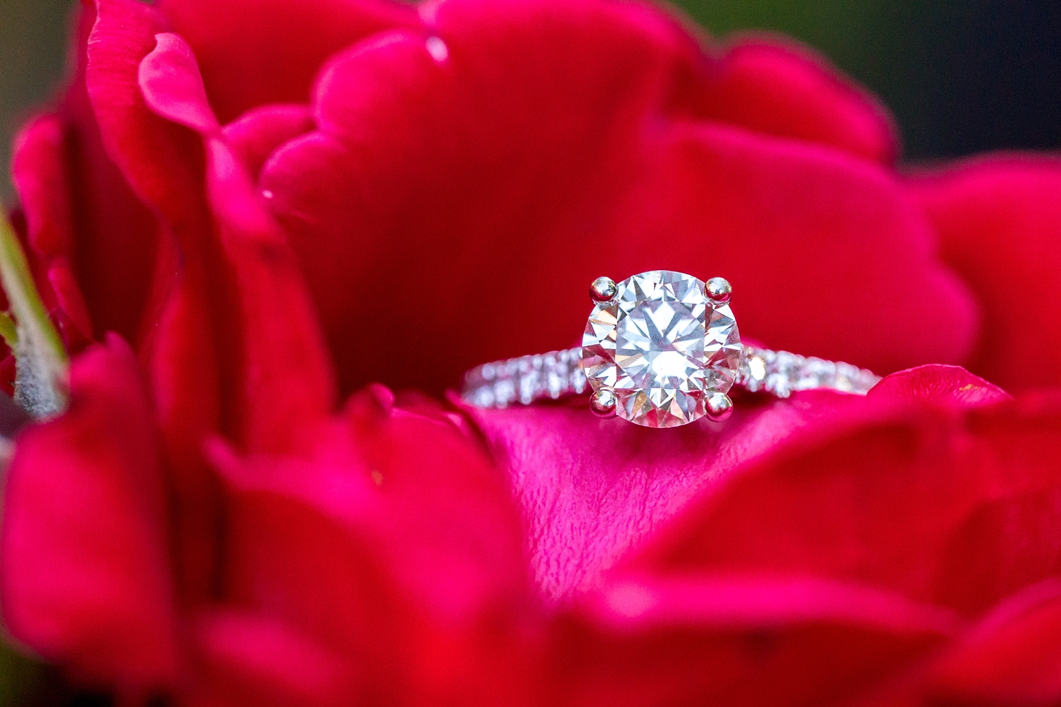 east-village-south-street-seaport-engagement-session-idalia=photography_15