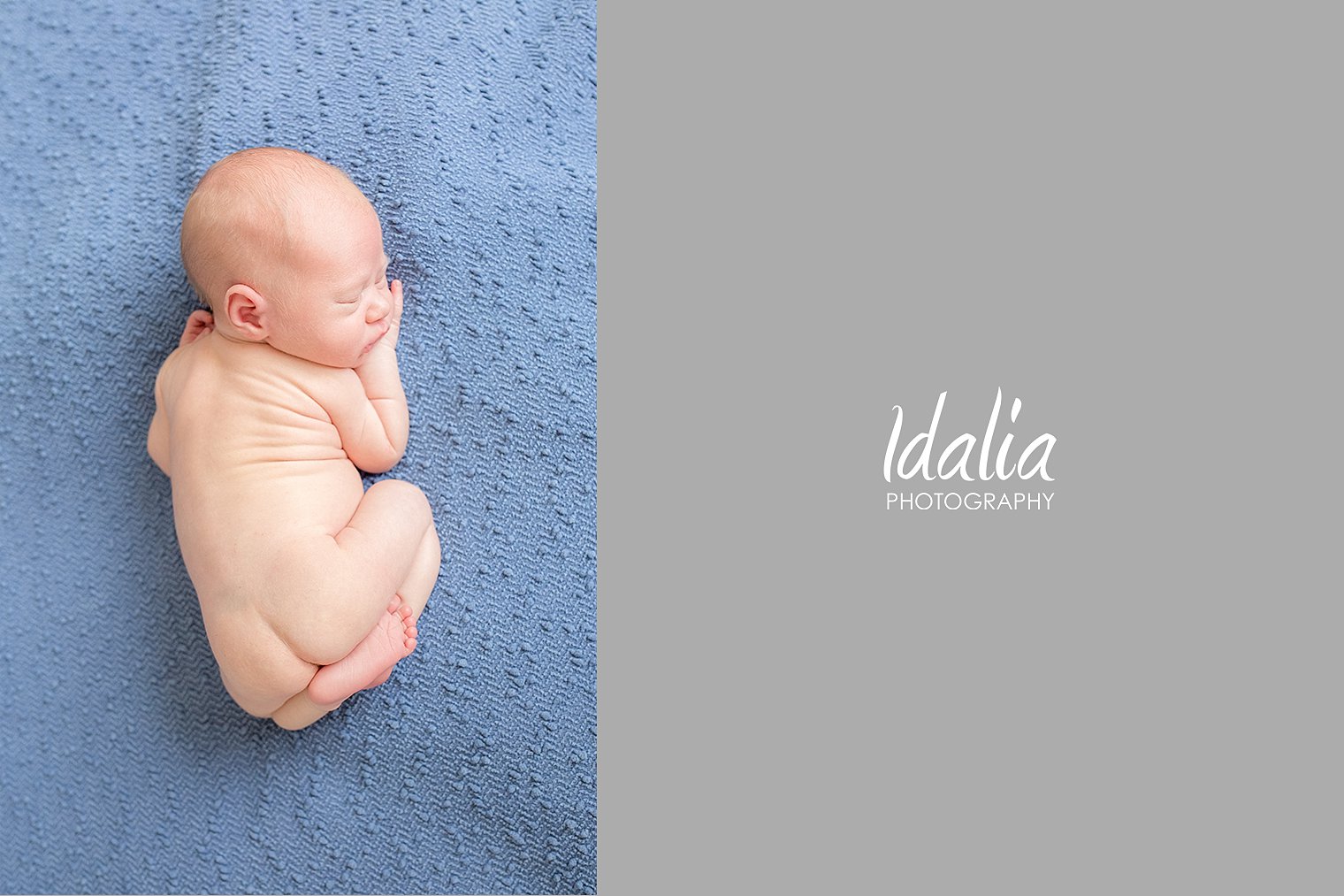 sea-girt-newborn-photography_0010