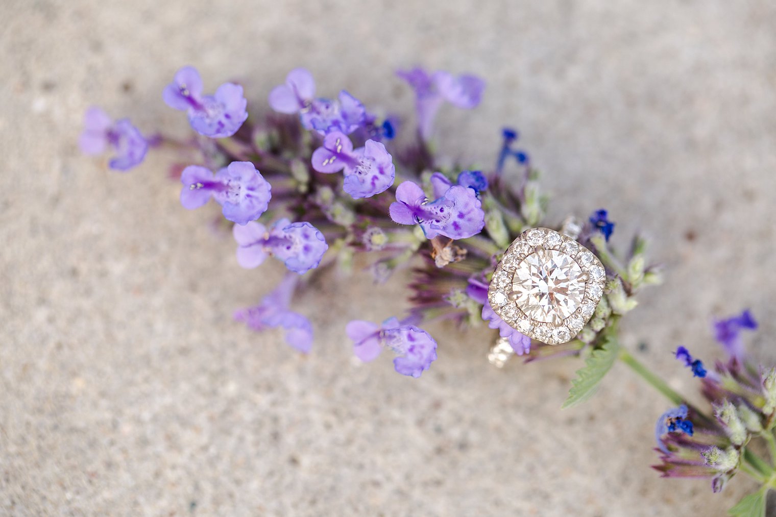 long-island-city-engagement-session_0025