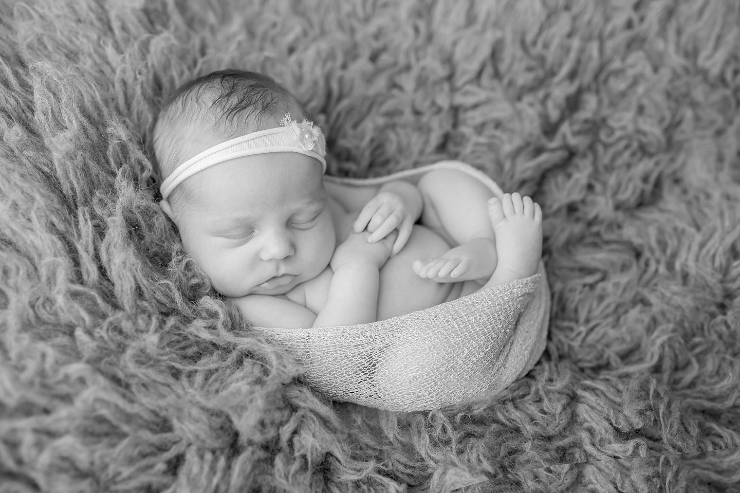 Princeton NJ Newborn Photographer Photo newborn baby photo