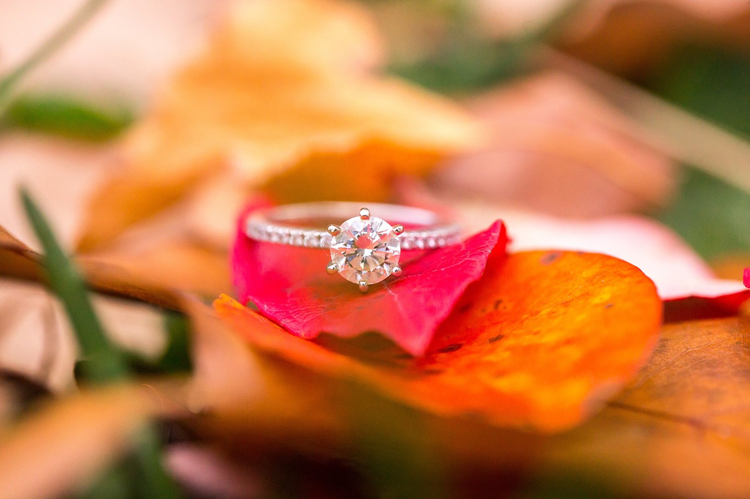 cheesequake-state-park-engagement-session-photos_0027