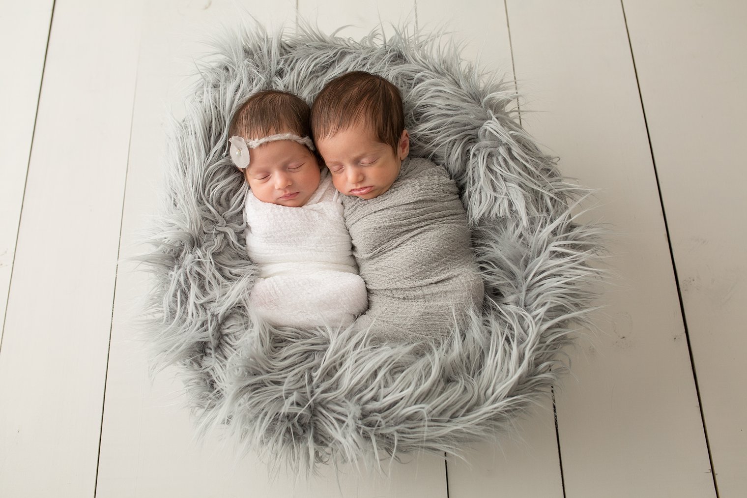Newborn twins photo