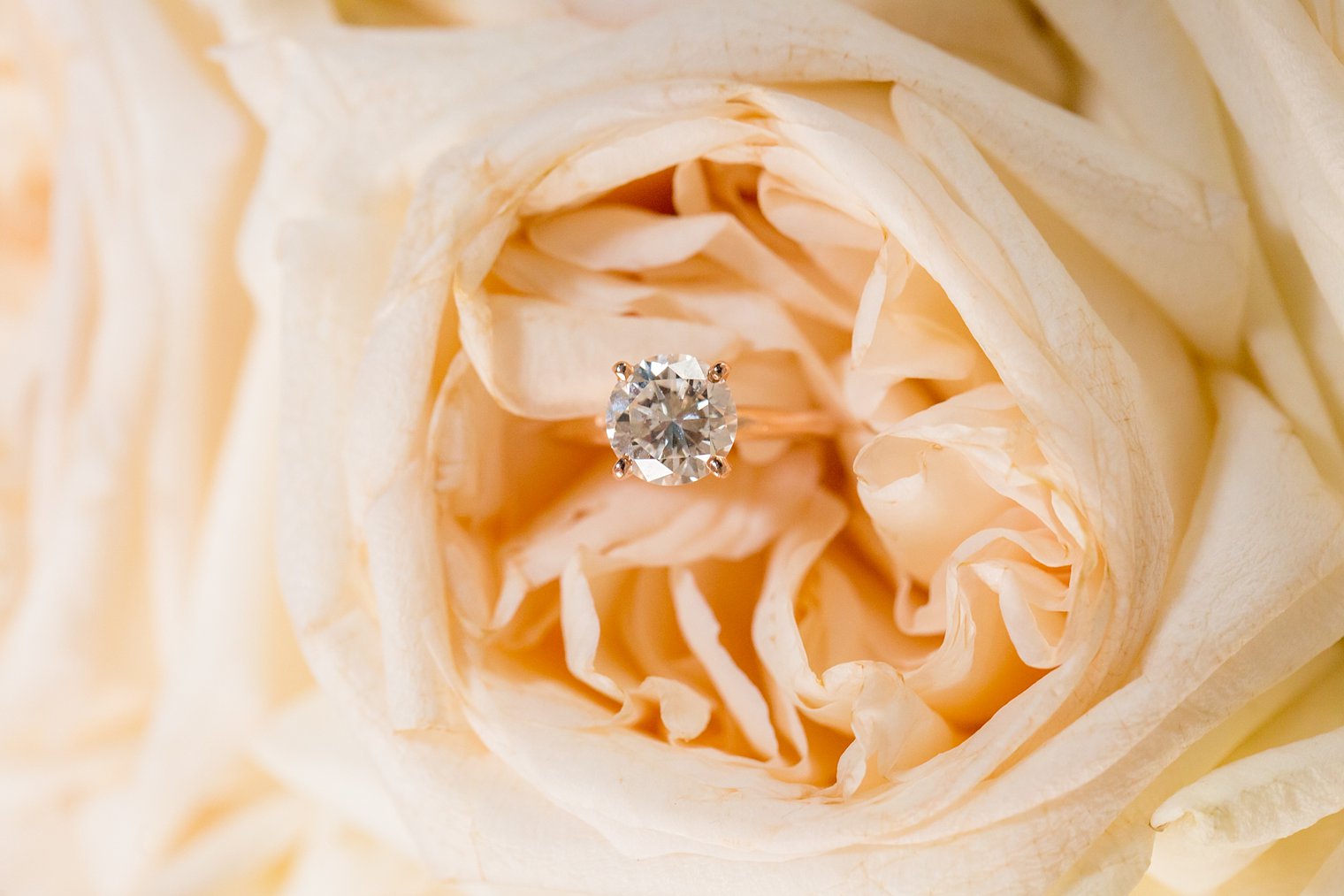 Engagement ring in bouquet photo