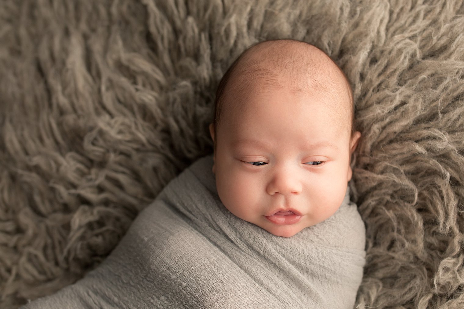 Central NJ Newborn Photographers baby boy in gray photo