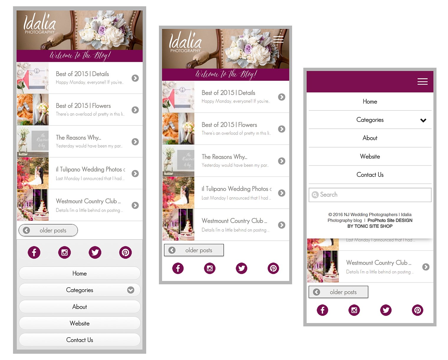 Ways to Customize your ProPhoto Mobile Site_0001