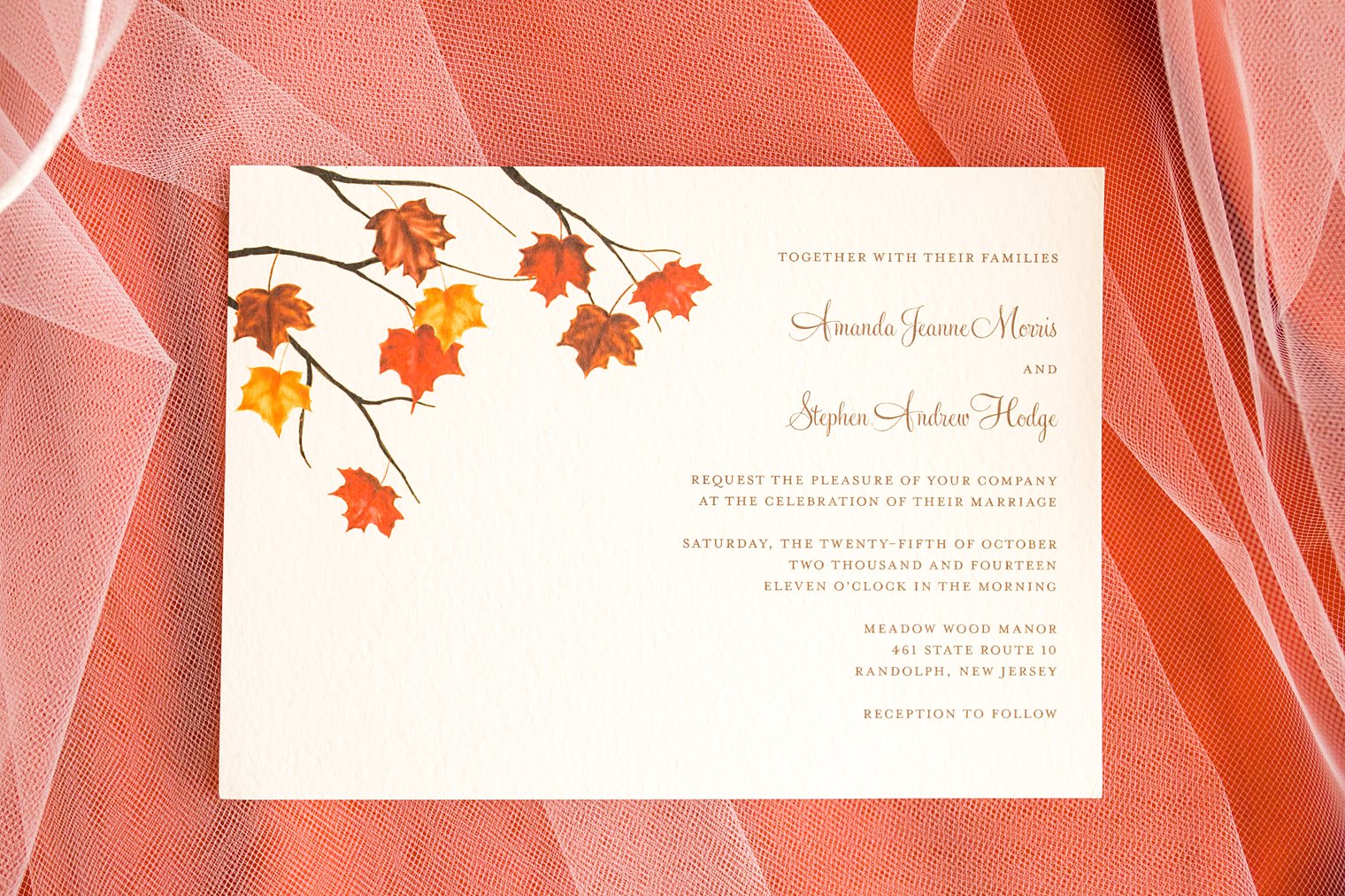 Meadow Wood Manor Wedding Photo Wedding Paper Divas Invitation