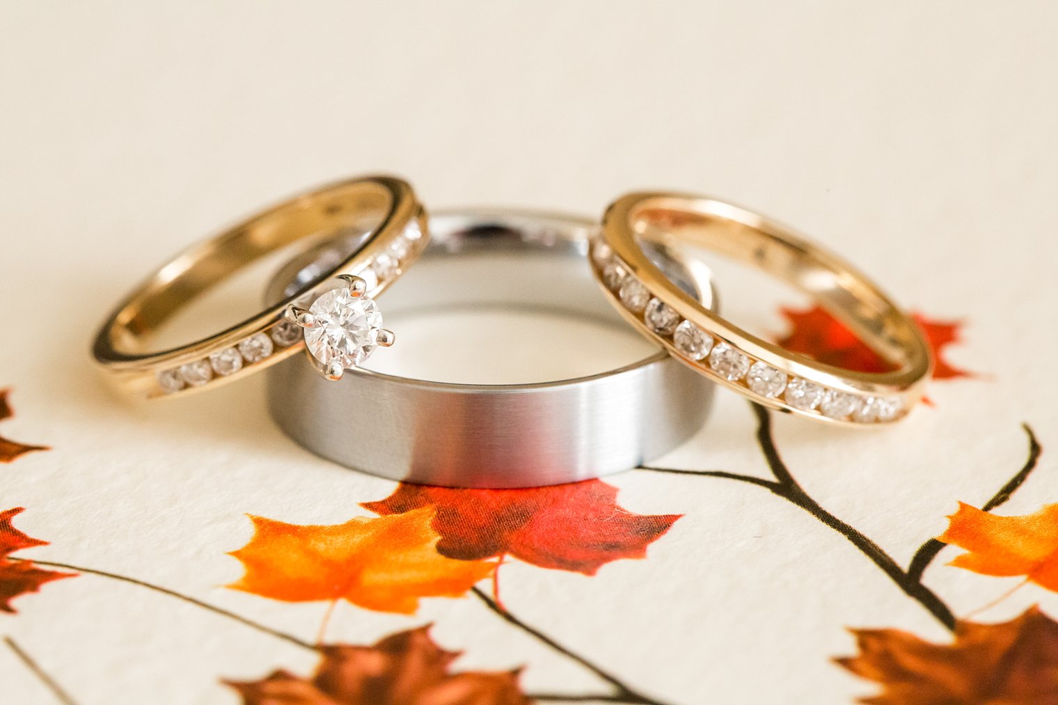 Meadow Wood Manor Autumn Wedding Photo