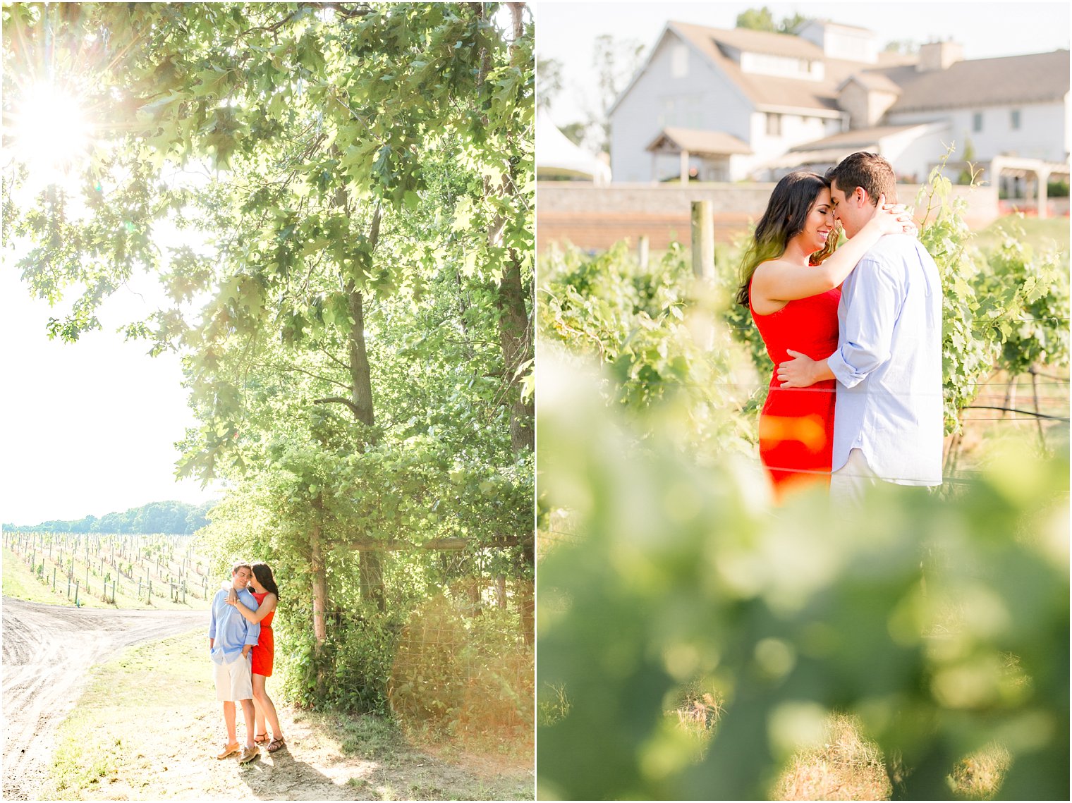 Laurita Winery Engagement 