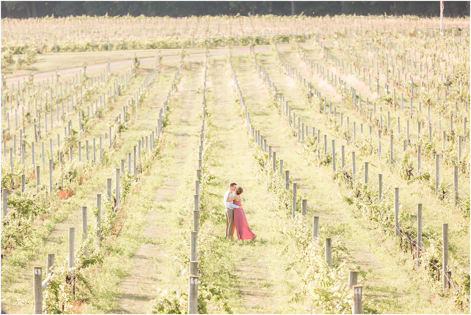 Laurita Winery Engagement Photos_0017
