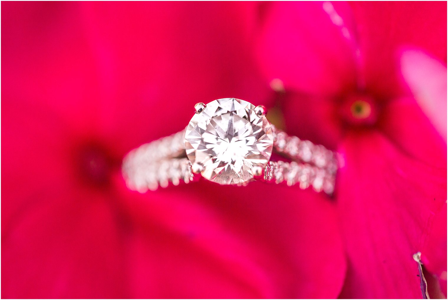 Beautiful engagement ring