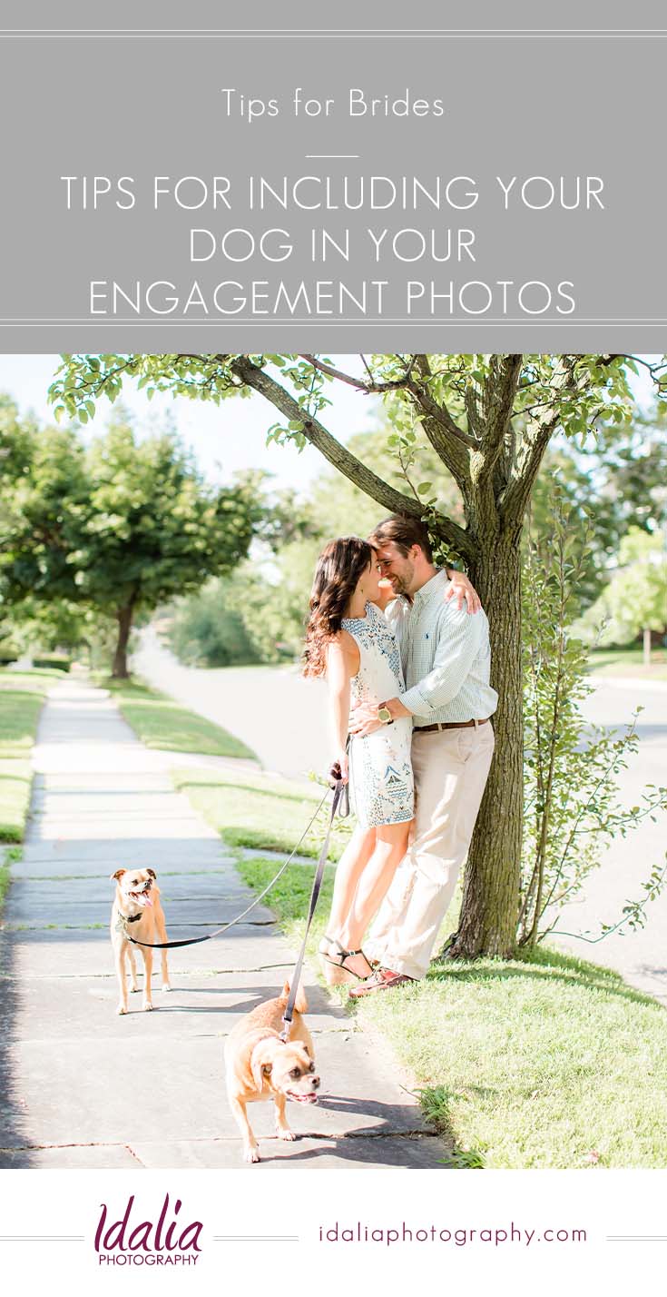 Tips for Including Your Dogs in Your Engagement Photos