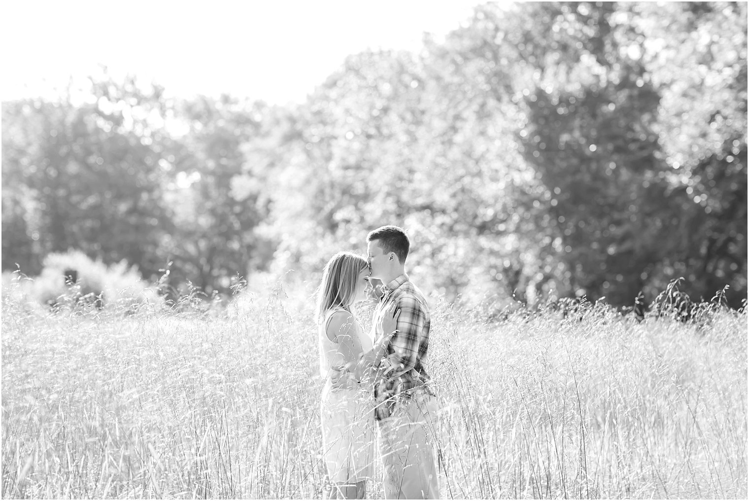 Engagement photos in a field of tall grass