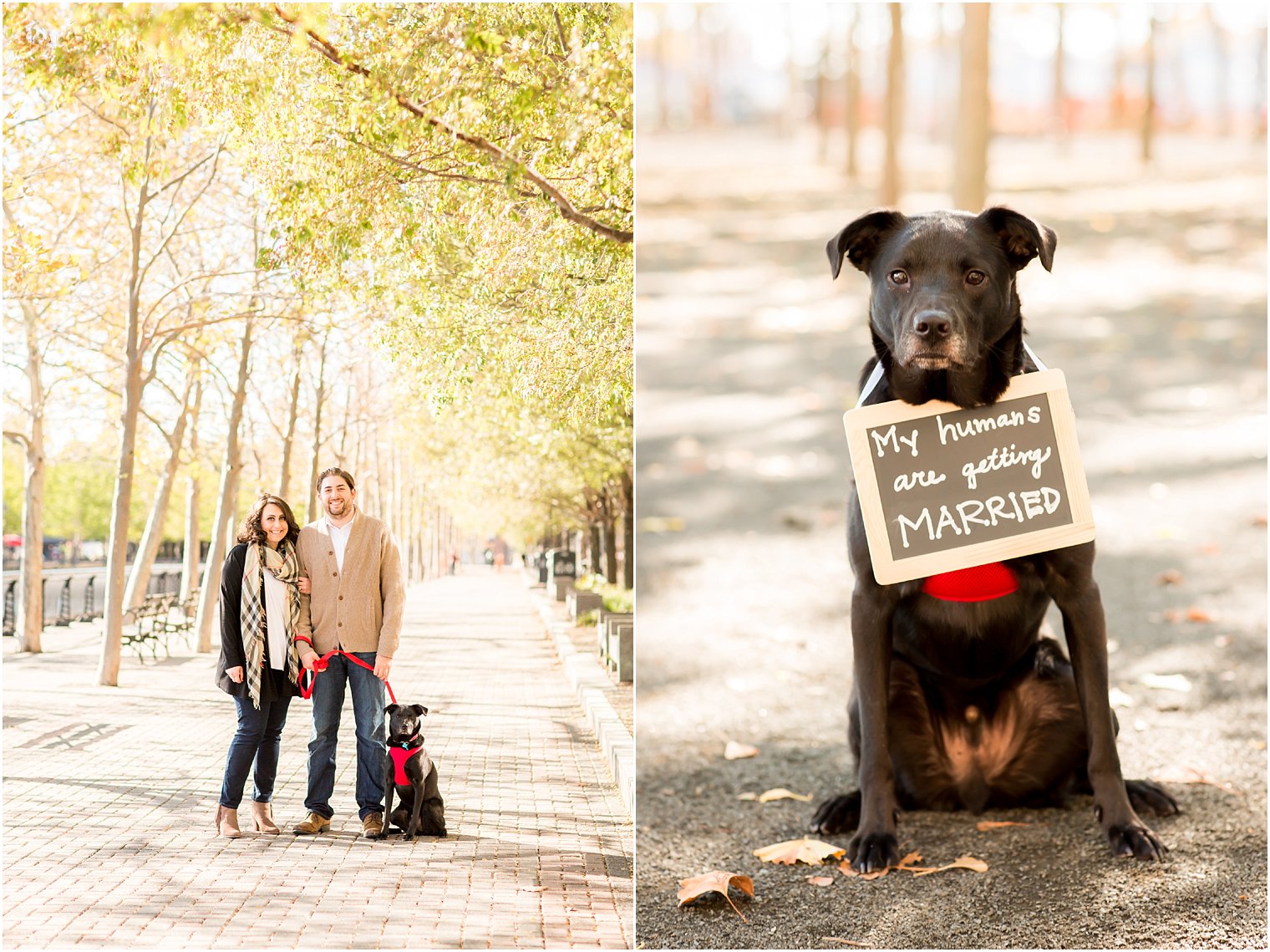 Engagement session with dog