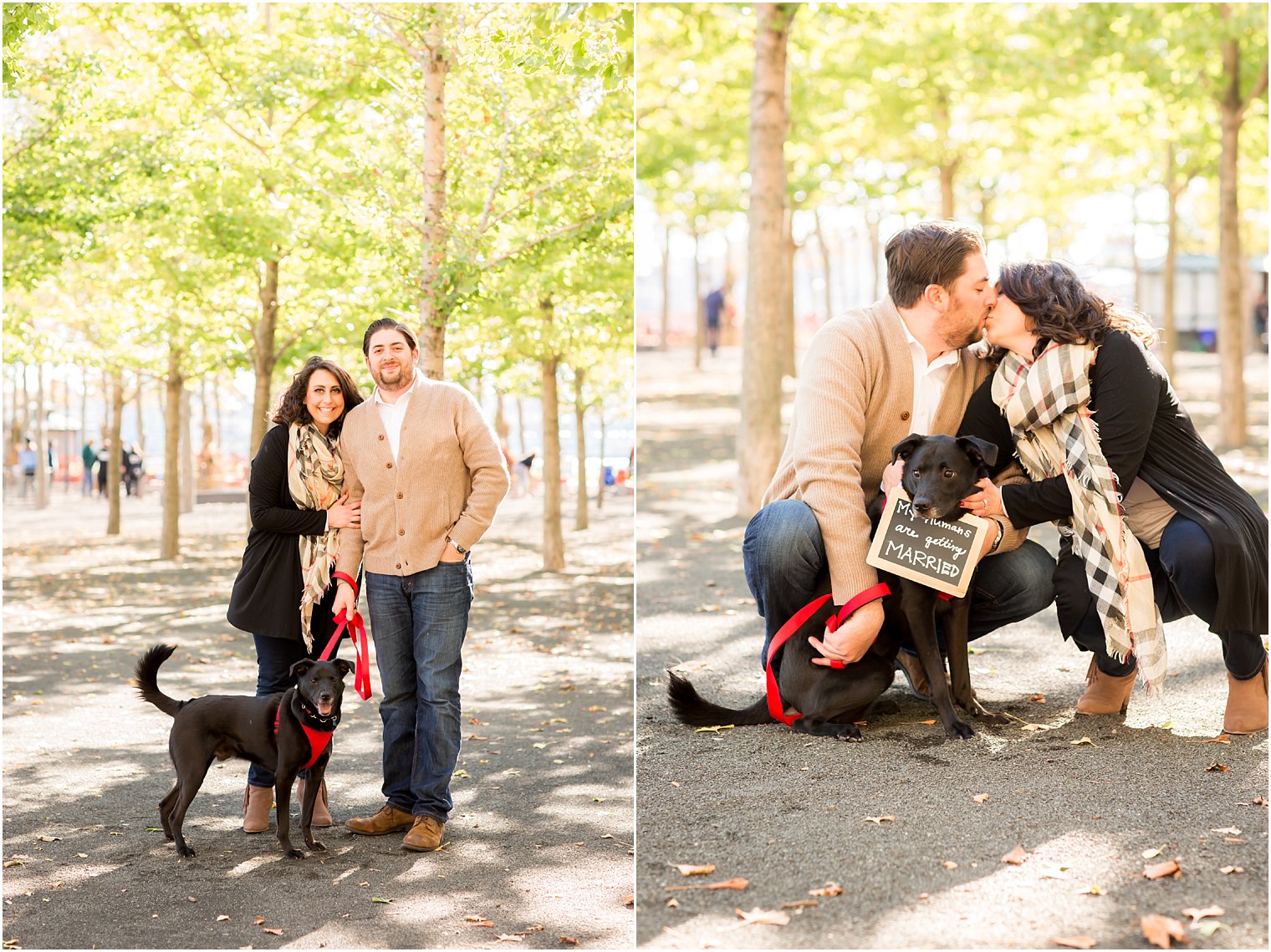 Engagement session ideas with dog