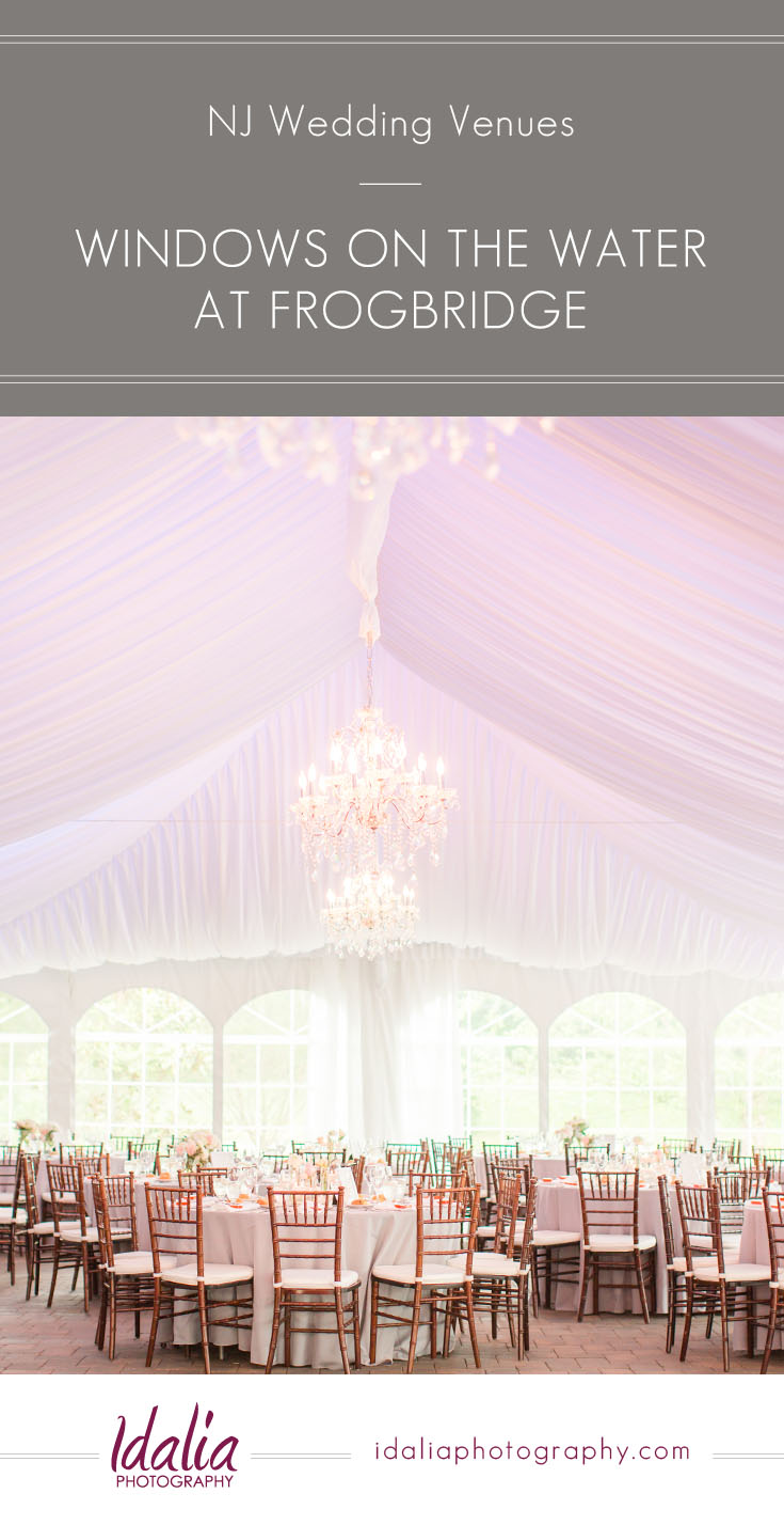 Windows on the Water  at Frogbridge Millstone NJ  Wedding  