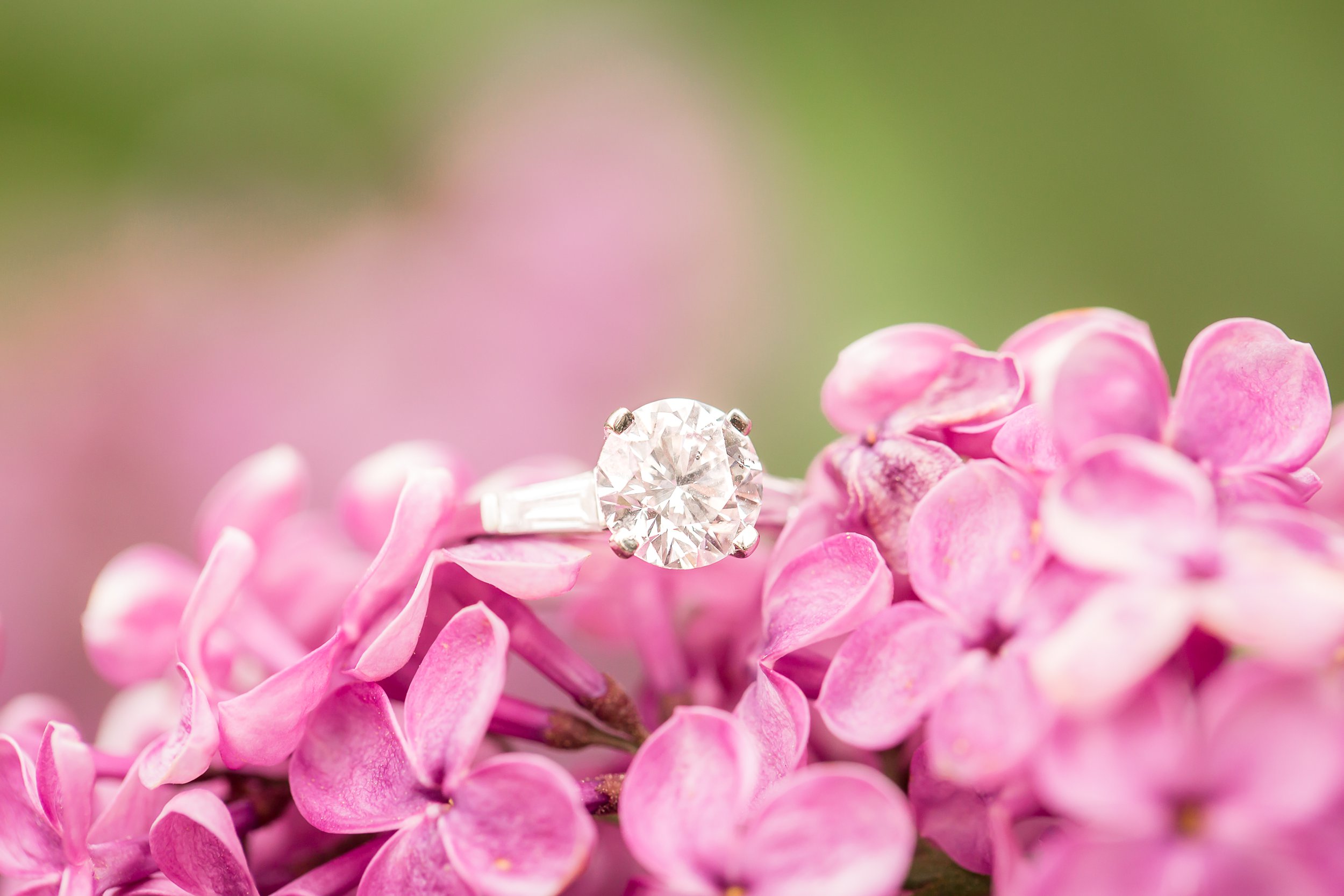 Willowood Arboretum Engagement Photos | Photo by Idalia Photography