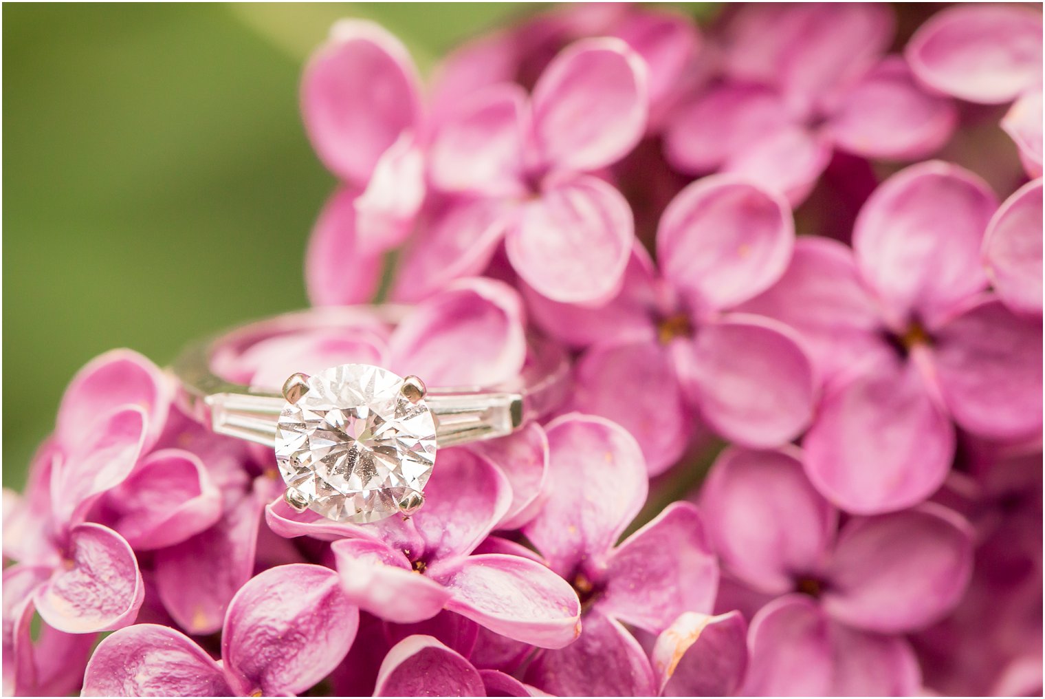 Engagement ring | Photo by Idalia Photography