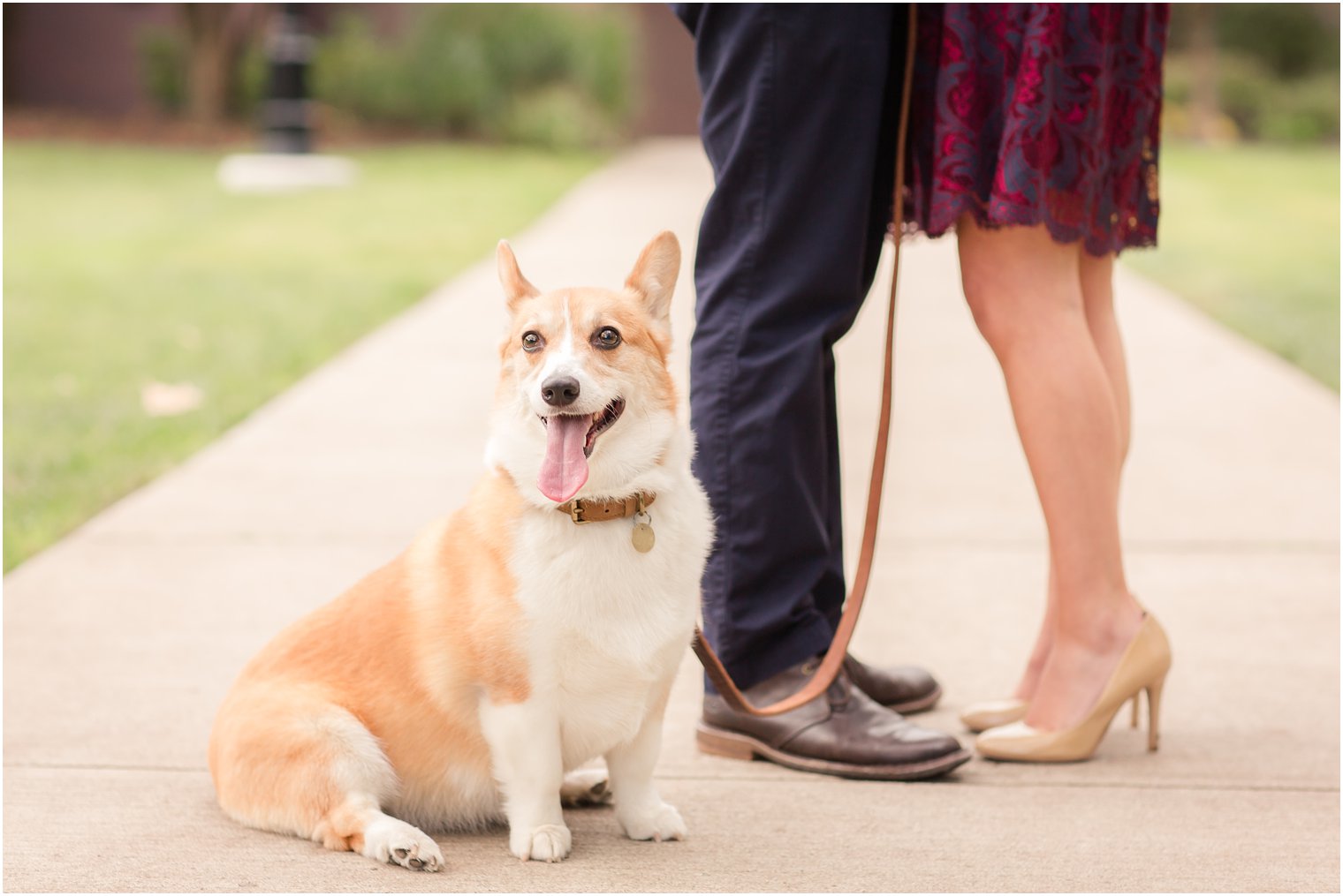 Engagement photo with dogs