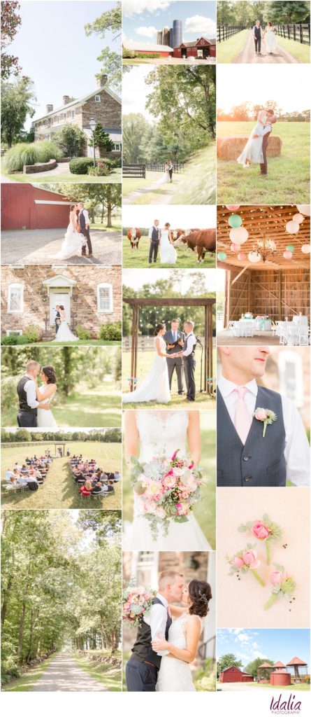 Stone Rows Farm Stockton  NJ  Farm Wedding  Venue 