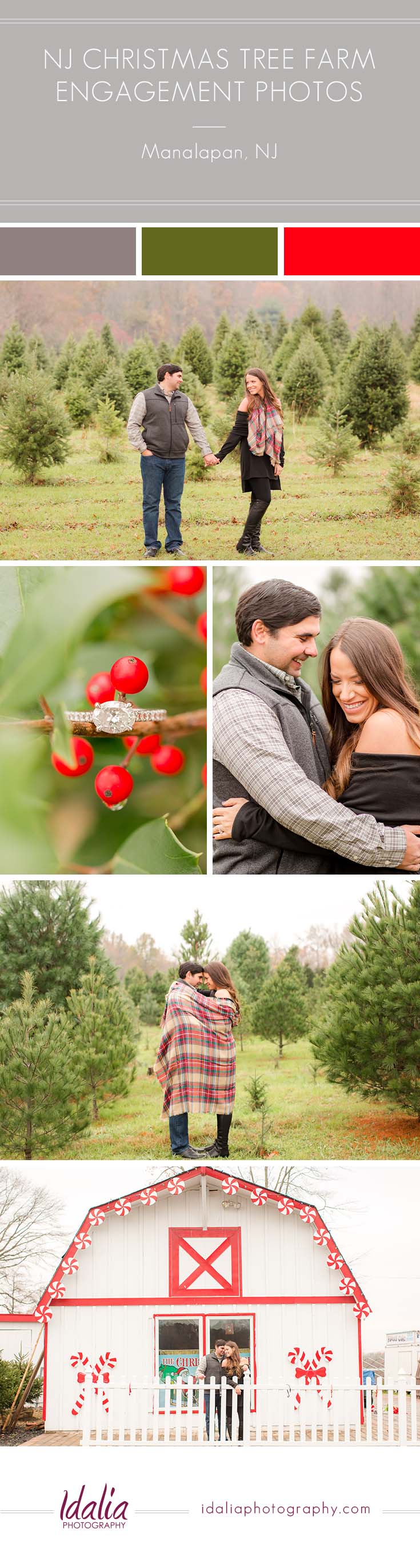 NJ Christmas Tree Farm Engagement Photos at Ann Ellen Farm | Manalapan, NJ