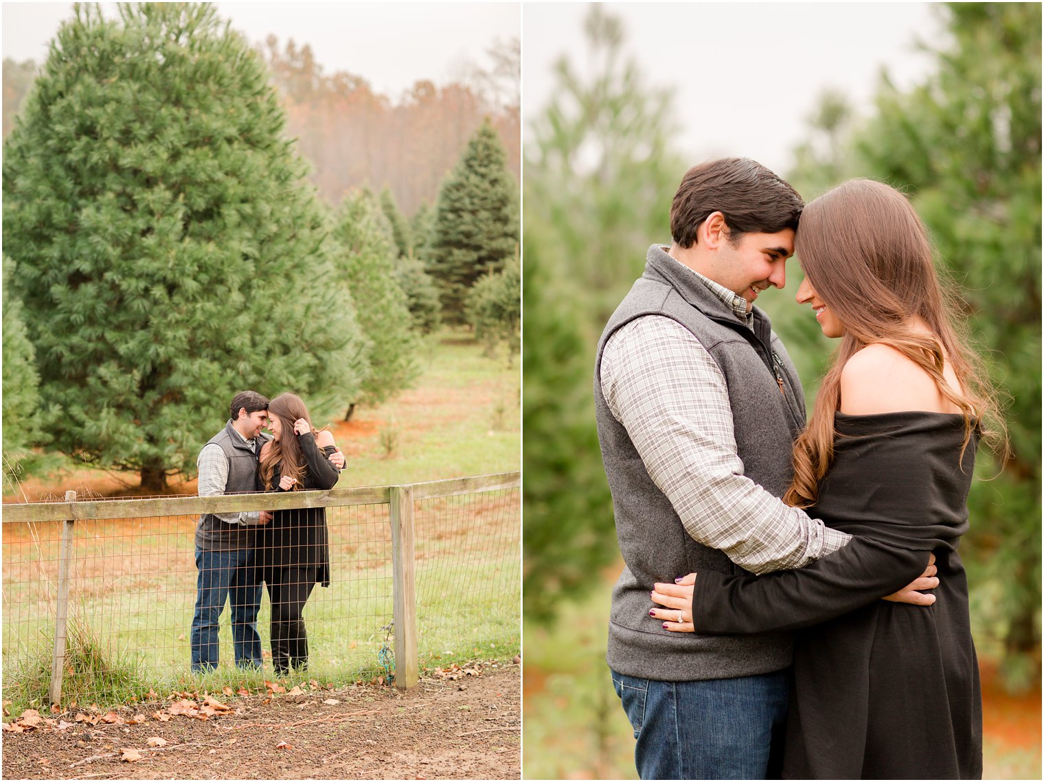 Romantic photos of a couple on a tree farm