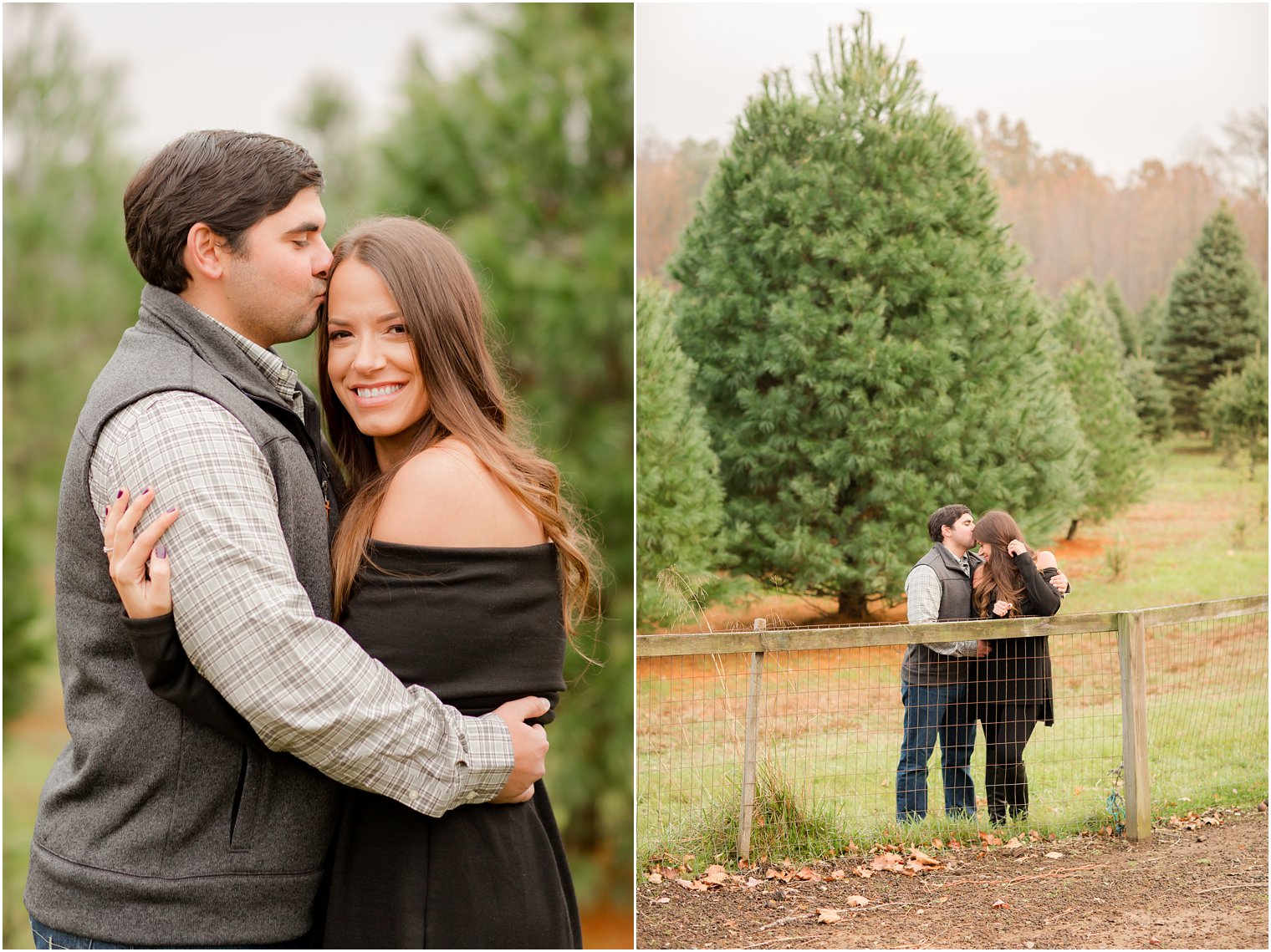 Romantic, classic, timeless engagement photos on a tree farm