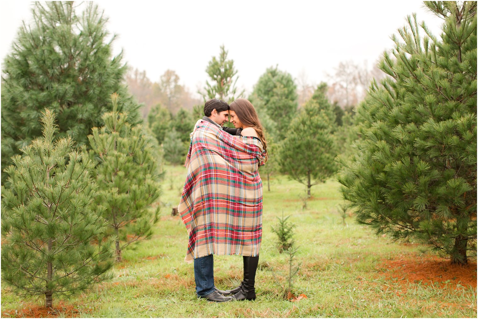 Christmas Tree Farm Engagement