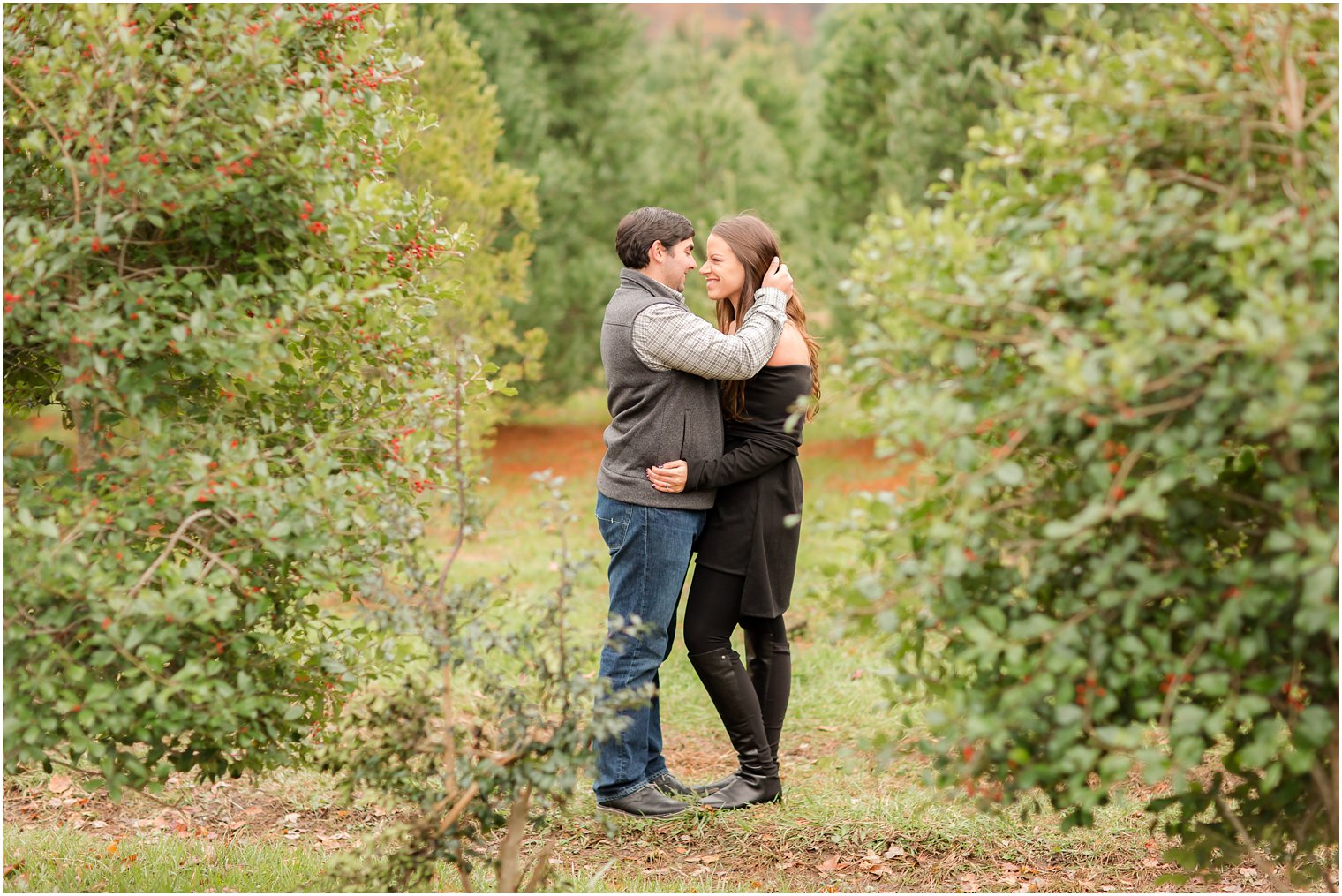 Engagement photos on a Christmas tree farm