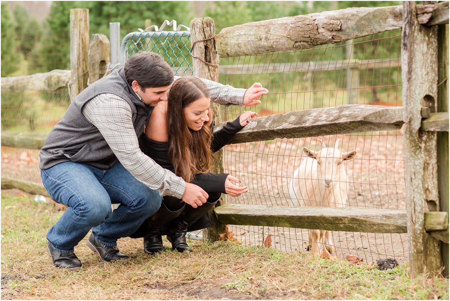 Engagement photo with goat