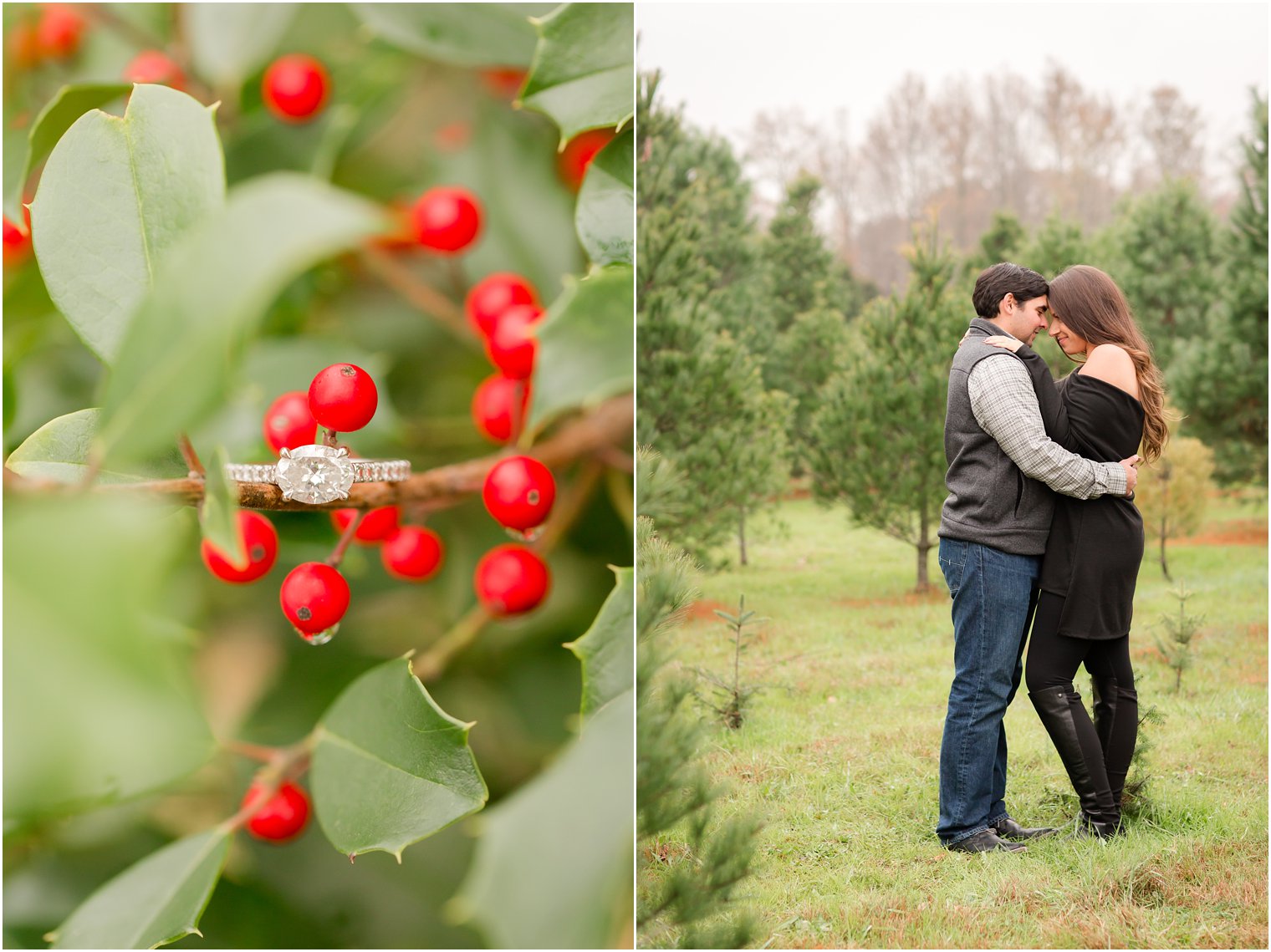 Christmas Tree Farm Engagement Photo Ideas with ring on holly tree