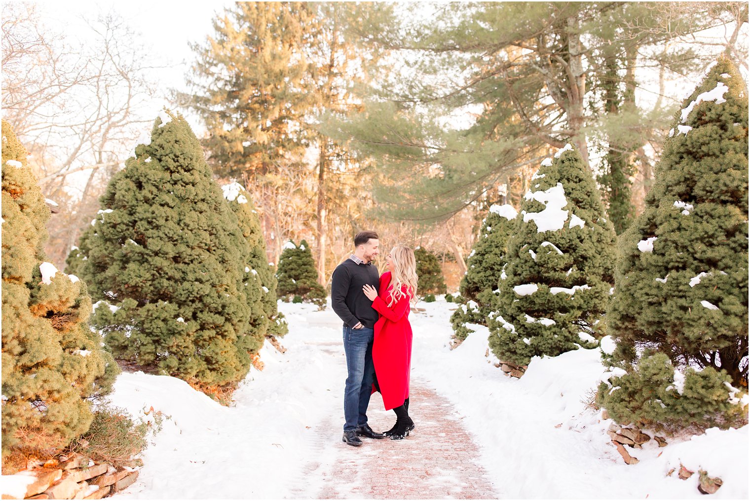 Wintry engagement among the snow and evergreens