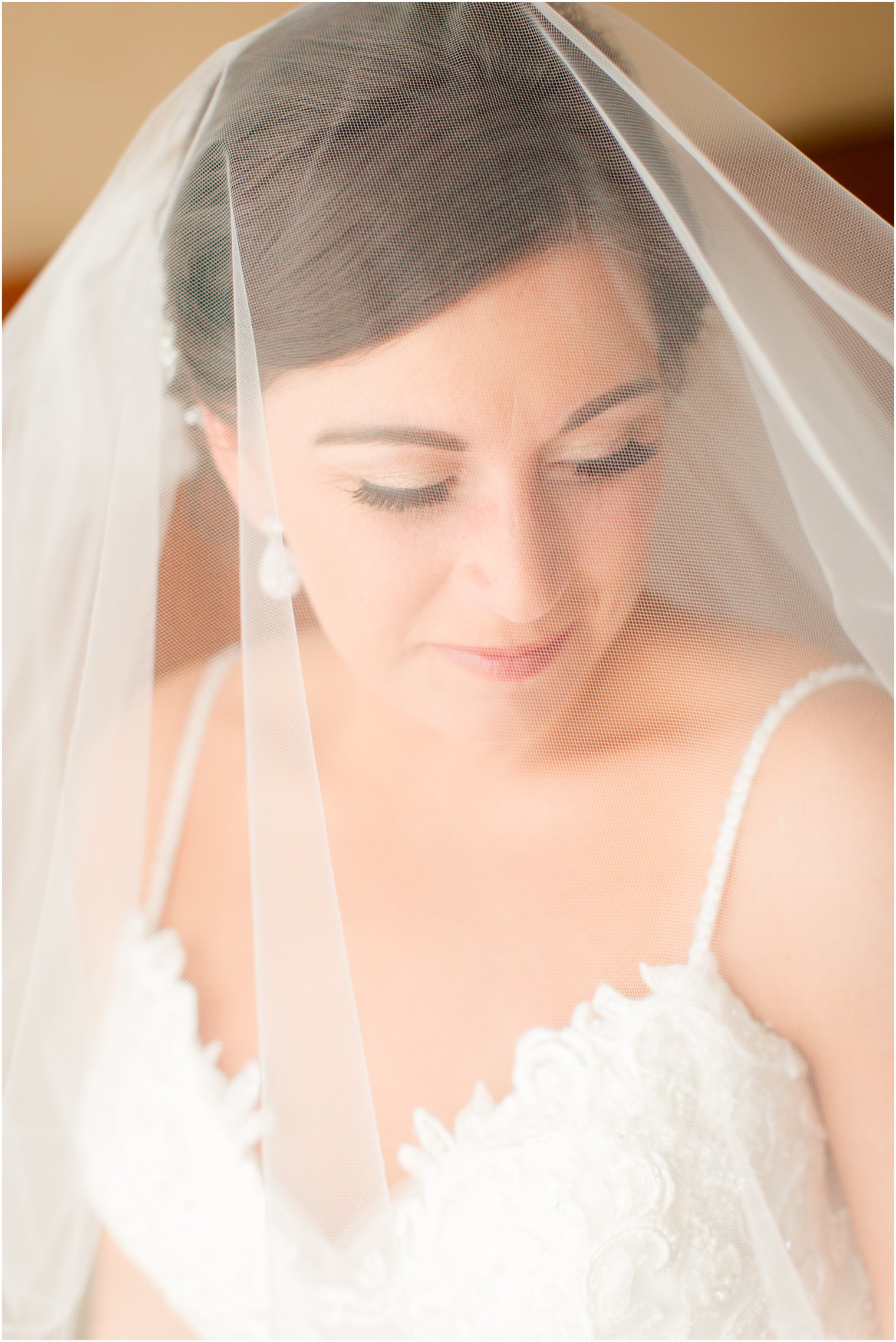 bridal portrait with veil over bride's face