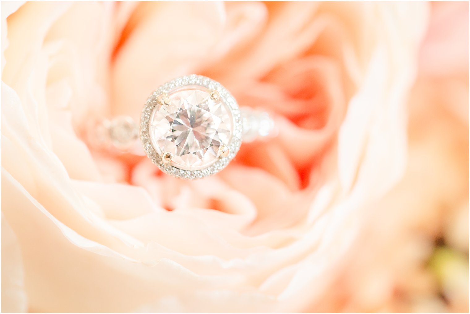 diamond ring from Atlantic City Jewelry photographed by Idalia Photography
