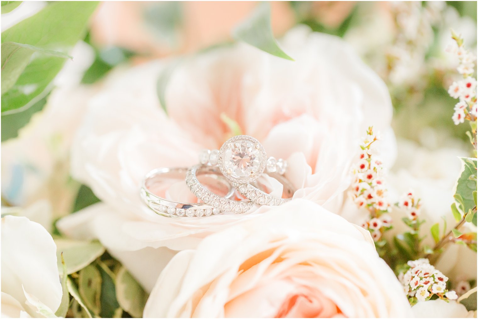 wedding bands on pink flower photographed by Idalia Photography