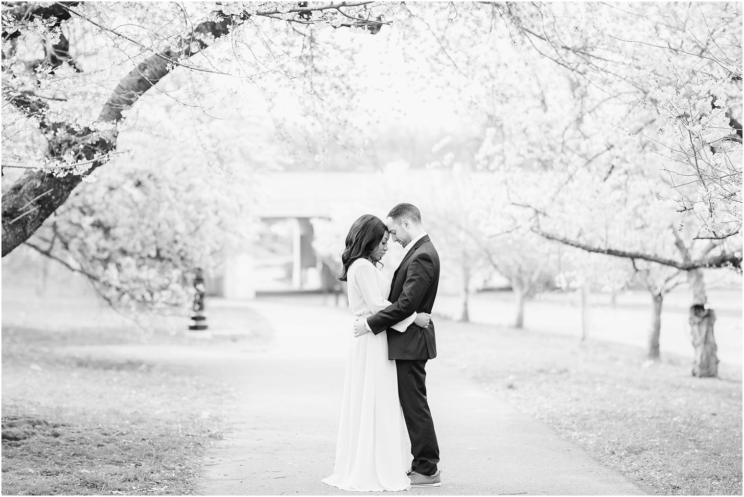 romantic black and white engagement photo in the cherry blossoms