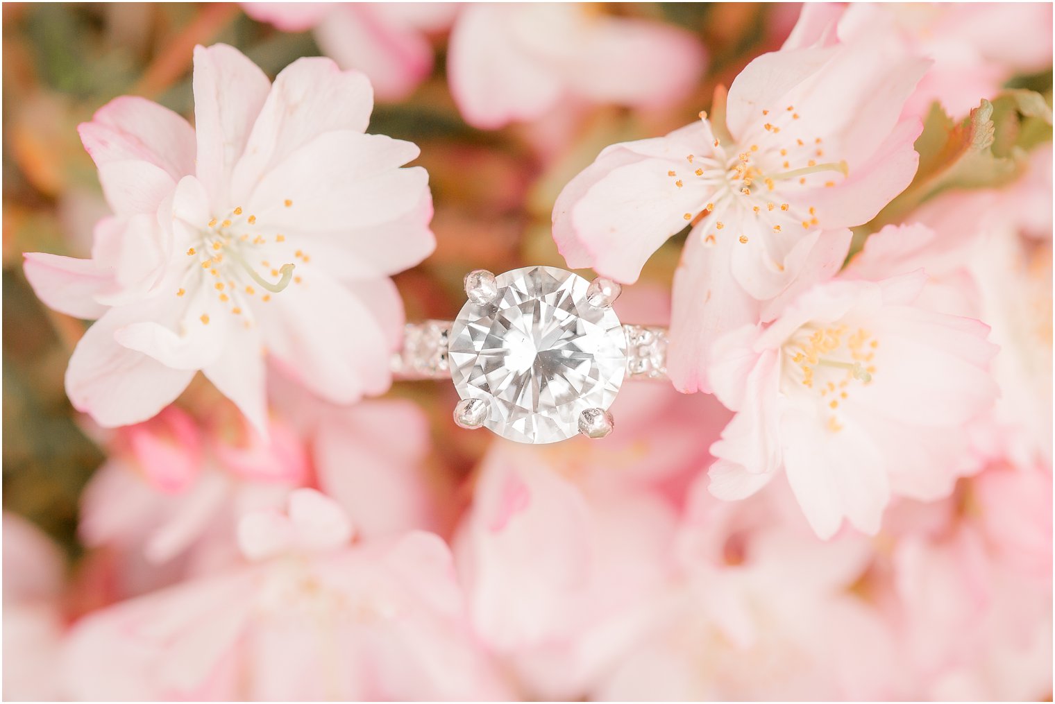 close-up of engagement ring